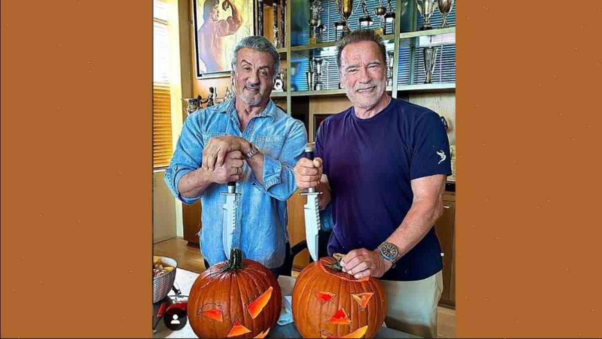 Schwarzenegger and Stallone Carve Pumpkins Together
